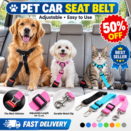 Pet dog seat belt - dog,